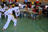 German_Open _Giebelstadt_2014_18.jpg